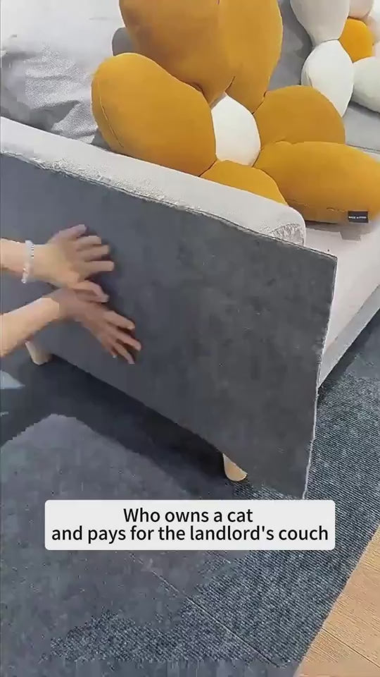 Démonstration de la pose du tapis anti-griffures GriffProtect